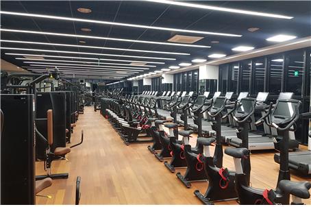 헬스 월자유이용(1개월)